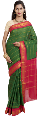 Big Zari Border Saree