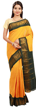 Line Zari Saree